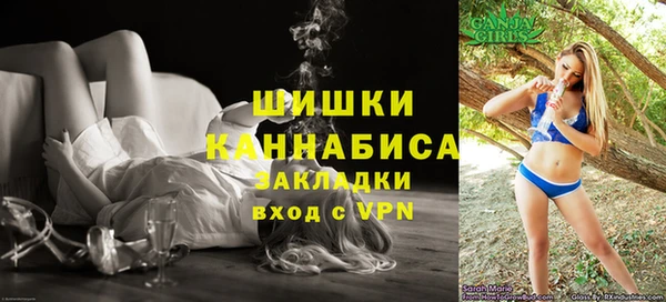 сатива Зеленокумск