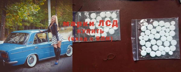 сатива Зеленокумск